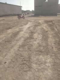 بلد حي ازدهار • ١٢٦م • سند زراعي