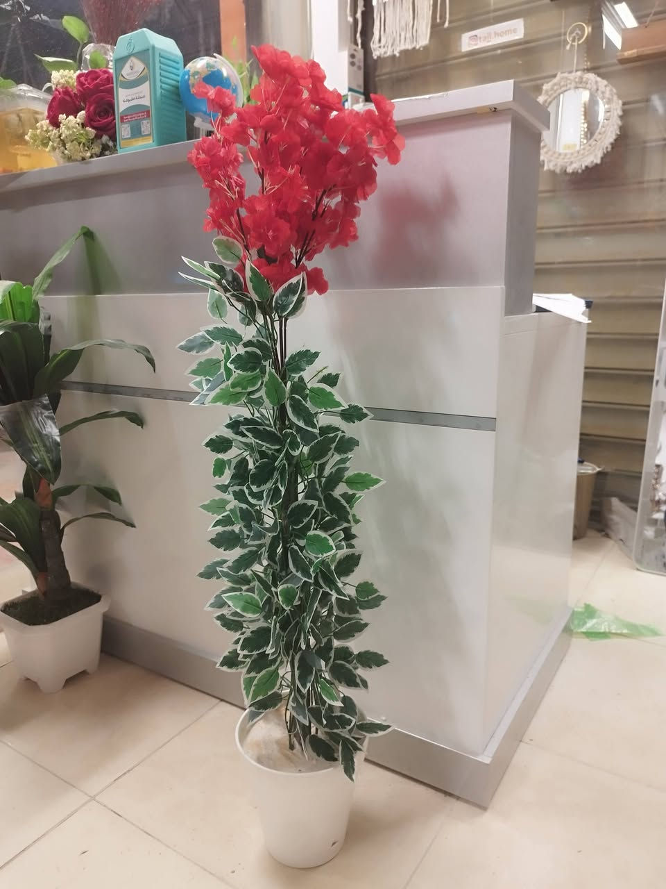 ارتفاع ١مترسعر ١٠ يتوفرجميع الالوان والقياسات والاشكال
يوجد جملة واسعار خاصة إلى أهالي البيجات


**إذا كنت صاحب هذا الإعلان وتريد حذفه لأي سبب، رجاءا أرسل رسالة إلى الدعم الفني**