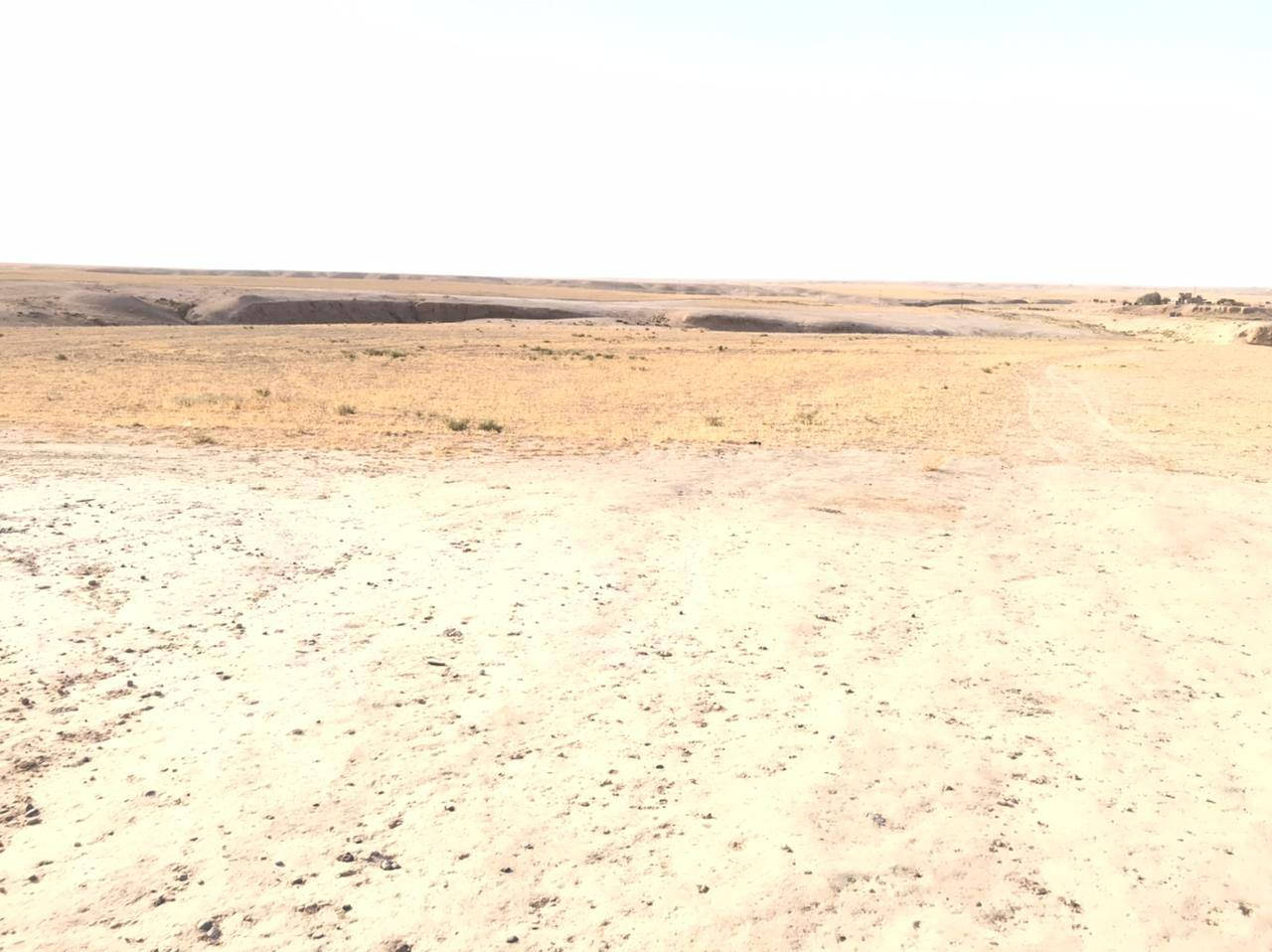 السلام عليكم عادت نشر بسبب الوعود الكاذبه يوجد لدينه الرض البيع المساحه 10دونم  العنوان العين البيضه مجاور كبور الجبر السعر 18وبيه مجال والستفسار عل رقم ***********
