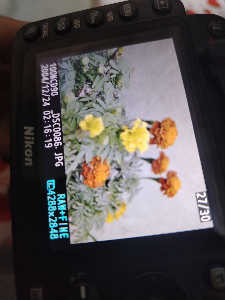 السلام عليكم اخوان كاميره تصويرها يجنن جديده تفيد للي يريد يتعلم تصوير أو للمبتدئين سعرها 150
هذا رقمي ***********
