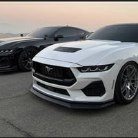 لايت موستانك • ٢٠٢٤ • يمين