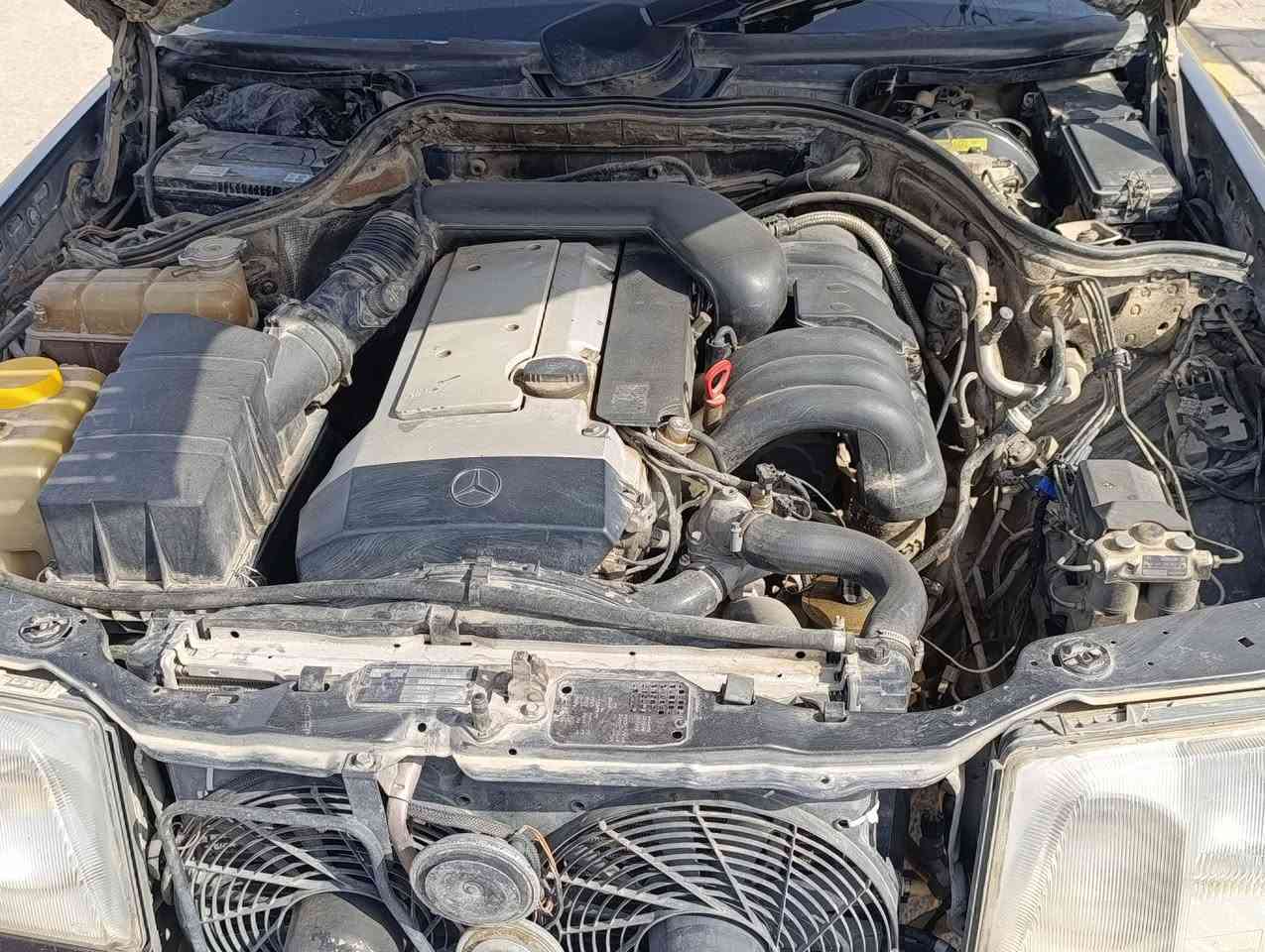 مرسيدس دب كوبيه
مكينة بلاد ٣٢٠ خراطيم نظيفة جدا
تبريد شغال
تخم تاير جديد ٨ طبقات
شاشه لمس ووجه جديد 
كامرا خلفية 
لايت زنون مع مازدات اصلية 
بك لايت محدث رياضي 
سنتر لوك يقفل ويفتح كل السيارة 
ريموت عن بعد
ويل ١٦
رقمها بغداد باسمي
 سنوية وهزة قبل شهر مجددها
كشن كهربائي بس وكف قبل فترة بسبب فيوز او فيشة متحركة لان جان شغال 
فتحة بس وكفت بيها عتلة
محدثة ٩٤
مسجل موديلها ٨٨
مصبوغة عام 
جام كهربائي بس الي وره السايق عطلانة
صدرها جيد 
دواخلها وسط
وعندي بيبان ٢ نظيفات جدا ضامهن احتياط
السعر ٧٥ ورقة ومجال قليل جدا
التواصل على الخاص 
الهاتف ***********
