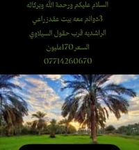 الراشديه • حقول السيلاديي • ٣