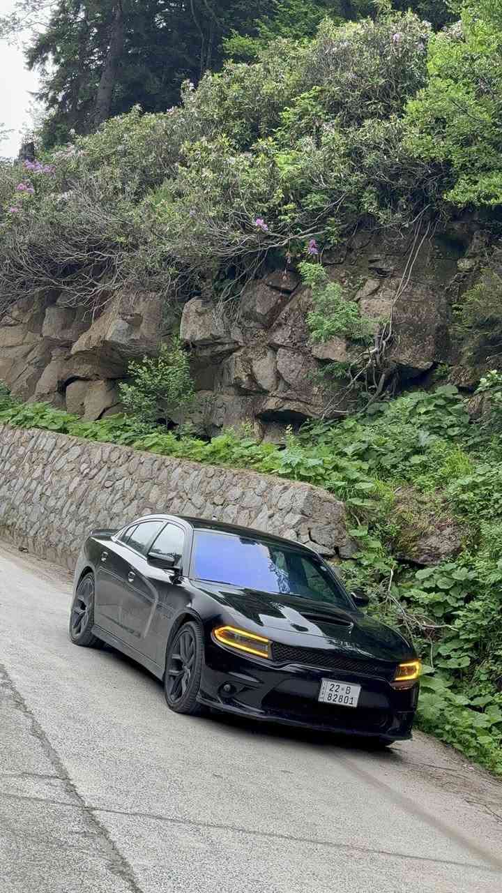 السلام عليكم جارجر R/T ٢٠٢٢  كلين بدون حادث بدون صبغ بدون بارد بدون تبديل رقم اربيل باسمي ماشية ٦١ موجوده صورها مال مزاد بلمنشور السيارة بلادية ملاعب باي شي بيها عليها زرع عدسات ومنظومه زنون وslp صوت مرتب موكلش عالي باتري اي سي ديلكو جديد والسيارة بدون اي نقص ومواصفاتها مثل مامبينه بالصور السعر المطلوب ٢٩ الف مكانها بغداد غير متواجد على الفيس  للاتصال   ***********
