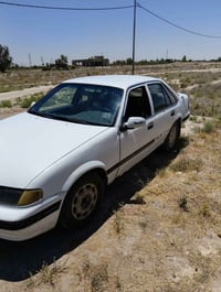 الفلوجه السجر • قرب مول الحلبوسي