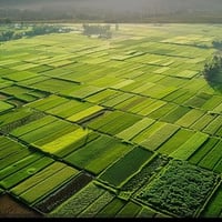 قطعه ارض مساحته 300 متر سند 25 زراعي منطقه الخضراء   مقابيل شارع العام...