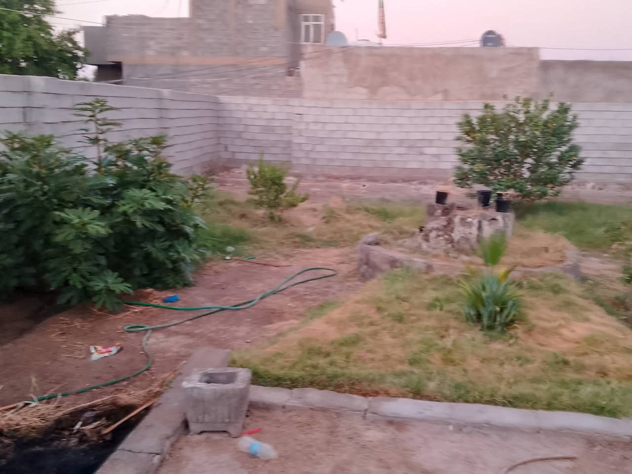مكلف بالنشر ....
قطعة 190 متر مسيجه ومزروعه الشارع المقابل لمحطة الشارقة في وسط شارع المطار القديم گاع سيد هادي المطاريحي تبعد عن سياج المطار 300 متر تقريبا للاستفسار مع صاحب القطعه ***********
