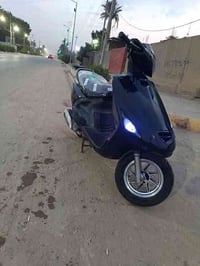 فراشه فحل للبيع كفاله مكاني صلاحيه 07801834881