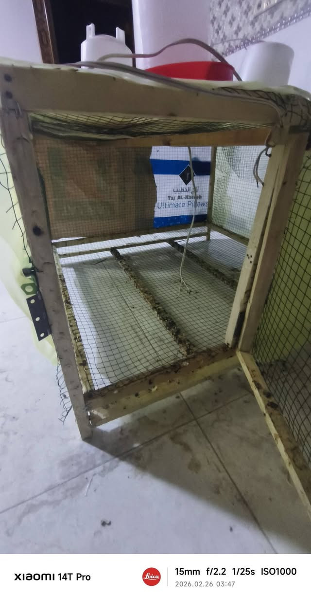 خانه متر مربع ام الجراره شغل ايدي مو نجار
داير مداير مشبج ومغلف بنايلون
سعرها 40 الف 
مكاني نجف شارع المطار الجديد
***********
