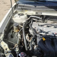 جيلي • ٢٠١٢ • الديوانية