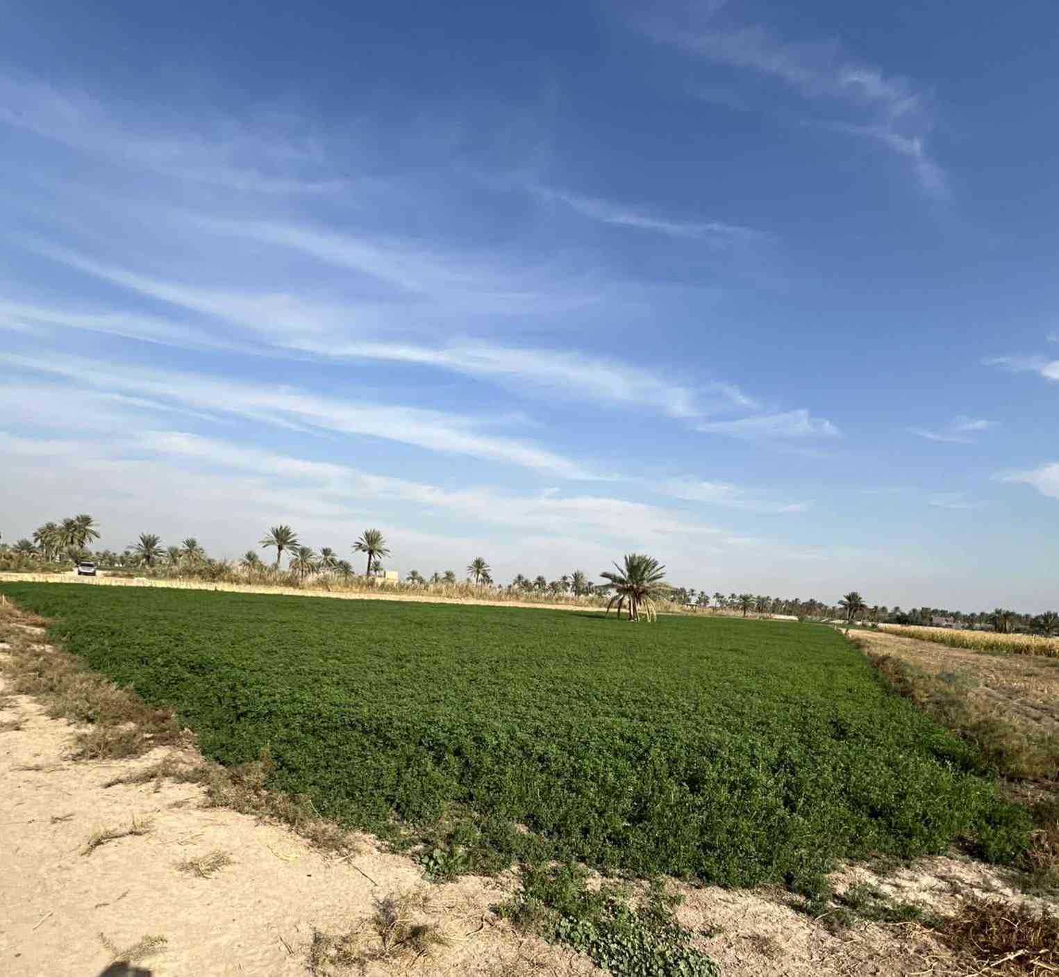 🔴 بسم الله الرحمن الرحيم🔴 
تتوفر  وقطع  سكنيه #للبيع #زراعي تحويل بسم المشتري  تصلح مزارع او سكن  بأسعار مناسبه   الموقع في محافظة #بابل #الحله سند25 تحويل بأسم المشتري مباشر 
يوجد دونم او نص دونم 
يوجد ( 5 ) قطع المساحه 500 متر
يوجد ( 5 ) قطع  المساحه كل قطعه  250  متر 
ويوجد دوانم تصلح مزارع  و سكن طريق حله نجف نزله الامام بكر  ابن علي عليه السلام اوتنزل الى مقام نبي الله ابراهيم الخليل خلف المقام  عليه السلام خلف المقام بواحد كيلو #السعر  اوباقي التفاصيل على  الخاص  اوالاتصال 
  ***********  اتصال 
***********  واتساب
#الجميع_عام_ارض_زراعي_للبيع
#الجميع_عام_اراضي_زراعي_للبيع_حله_بابل_دوانم_للبيع_الج #مزارع #دوانم#بابل_حله #زراعي#@الجميع@المتابعين@الاصدقاء
