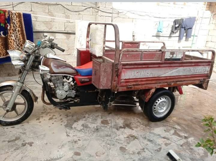 ستوته 13 للبيع اورق اصولي 1200 وبيها *********** بابل
