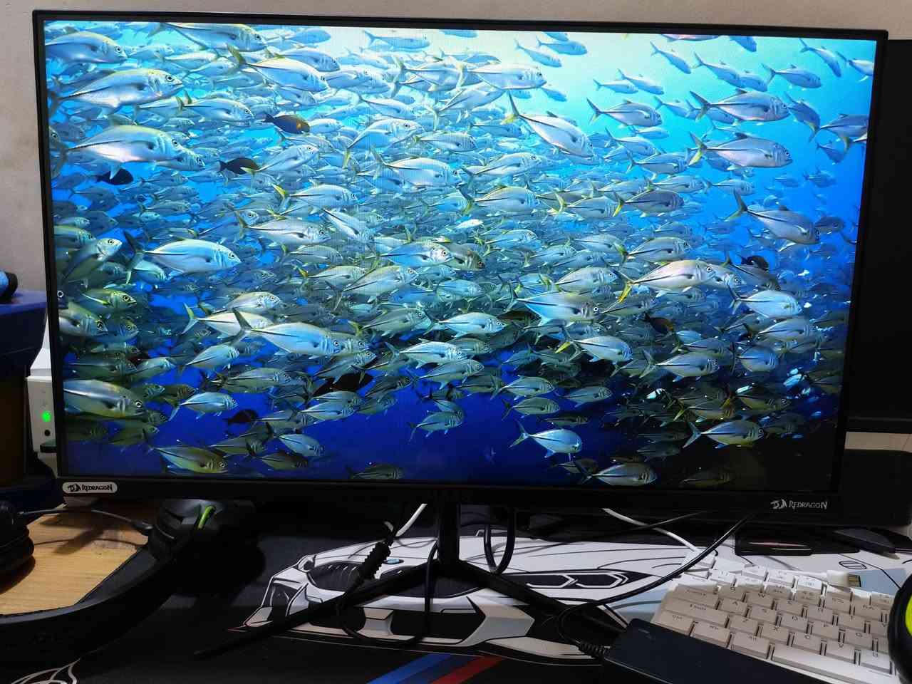 سلام عليكم
شاشة مونيتر حجم 24 من شركة MASS  نوع بنل IPS 

سرعة الاستجابة 1ms ملي سكند 

دقة شاشة فول اج دي FHD 144HZ   

تدعم تقنية Free Sync

مافذ موضحة بالصورة 

سعر 100 الف توصيل متوفر 
ملحقات كلهة موجودة و الكارتونة هم


**إذا كنت صاحب هذا الإعلان وتريد حذفه لأي سبب، رجاءا أرسل رسالة إلى الدعم الفني**