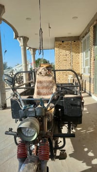 يوجد ستوته البيع مقفوله رقم الهاتف 07735398561