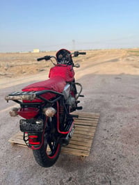 بوكسر • فحل • اوراق ضايعه