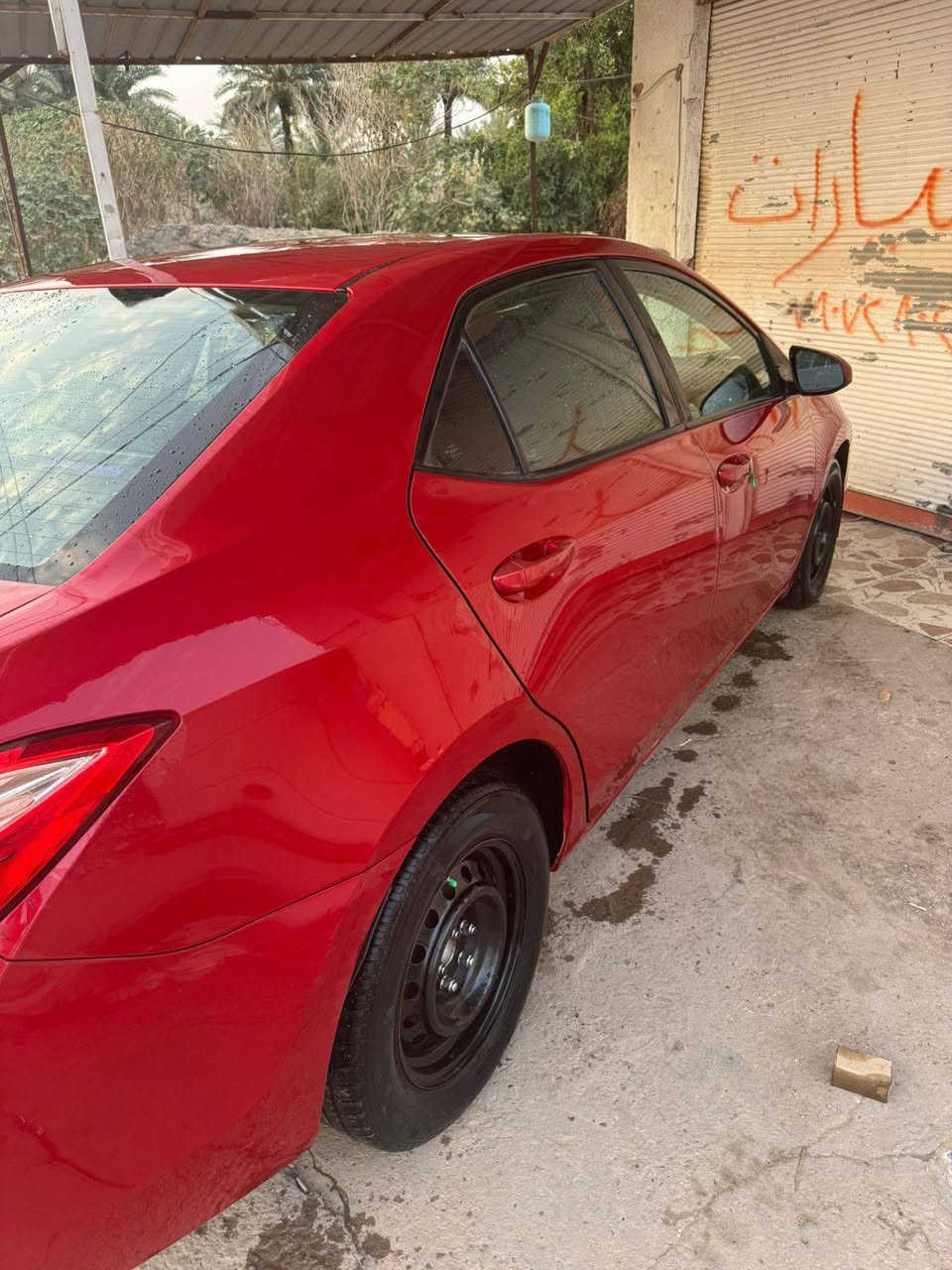 للبيع كورلا2019 مكينه 2000 صبغ جاملغين وبنيد  تبريدشغال سياره نضيفه
مكينه نضيفه سعره،125بيه مجال ***********
