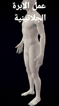 حي القاهرة قرب جسر البنوك 
***********
