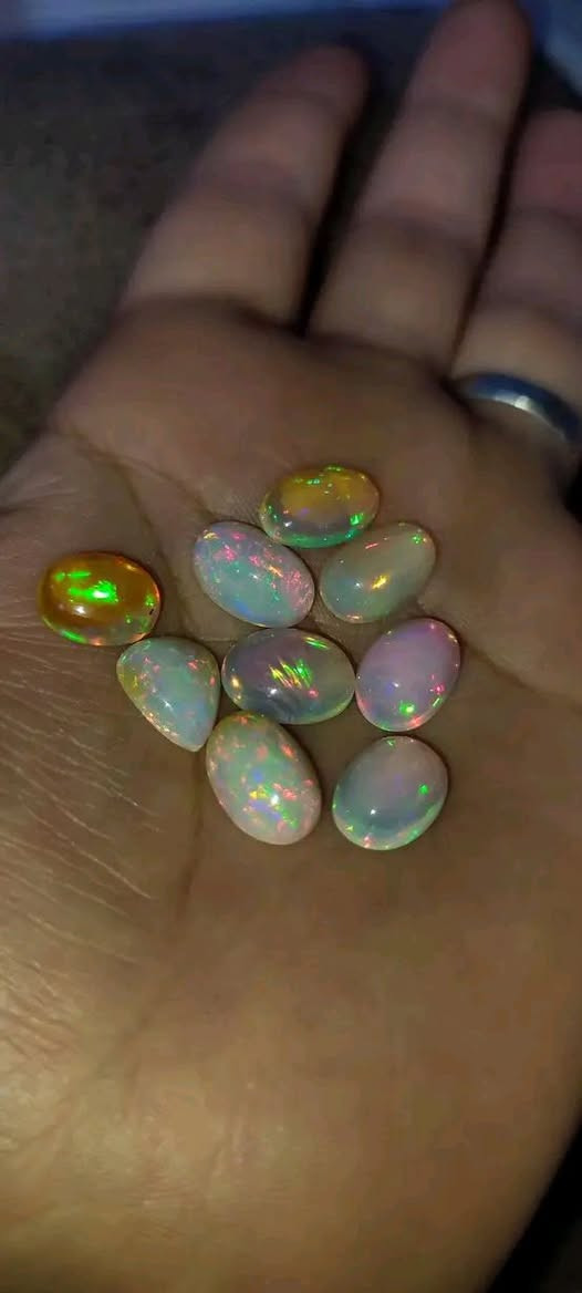 اوبال اثيوبي فول فاير اصلي نخب اول غير معالج سعر القطعه 20


**إذا كنت صاحب هذا الإعلان وتريد حذفه لأي سبب، رجاءا أرسل رسالة إلى الدعم الفني**