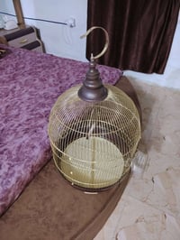 قفص • حجم كبير • للبيع