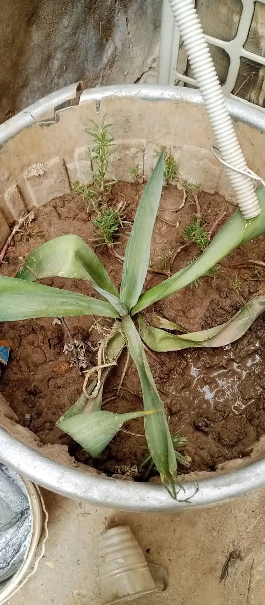 سلام عليكم دراجه شحن للبيع بطاريه جديده سعره 215 الشراي يجي خاص ويدلل


**إذا كنت صاحب هذا الإعلان وتريد حذفه لأي سبب، رجاءا أرسل رسالة إلى الدعم الفني**