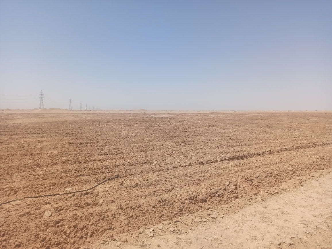 علي محسن الزيدي السلام عليكم  اكرر النشر بصوره صحيحه
مزرعه للبيع عمود 260 شارع الديوك 
المساحه 75 دونم تبعد عن طريق نجف كربلاء 5كيلو 
شارع كله تبليط 
الارض فارغه المجاوريين بصفه زرع خير من الله 
للبيع او ضمان 
للتواصل اكثر  صاحب الارض  ‏‪***********‬‏ ابو محمد الزيدي
