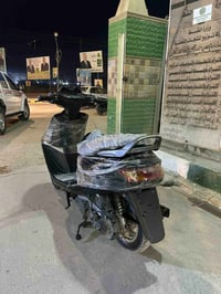 فراشة • فحل • ٢٠٠٥