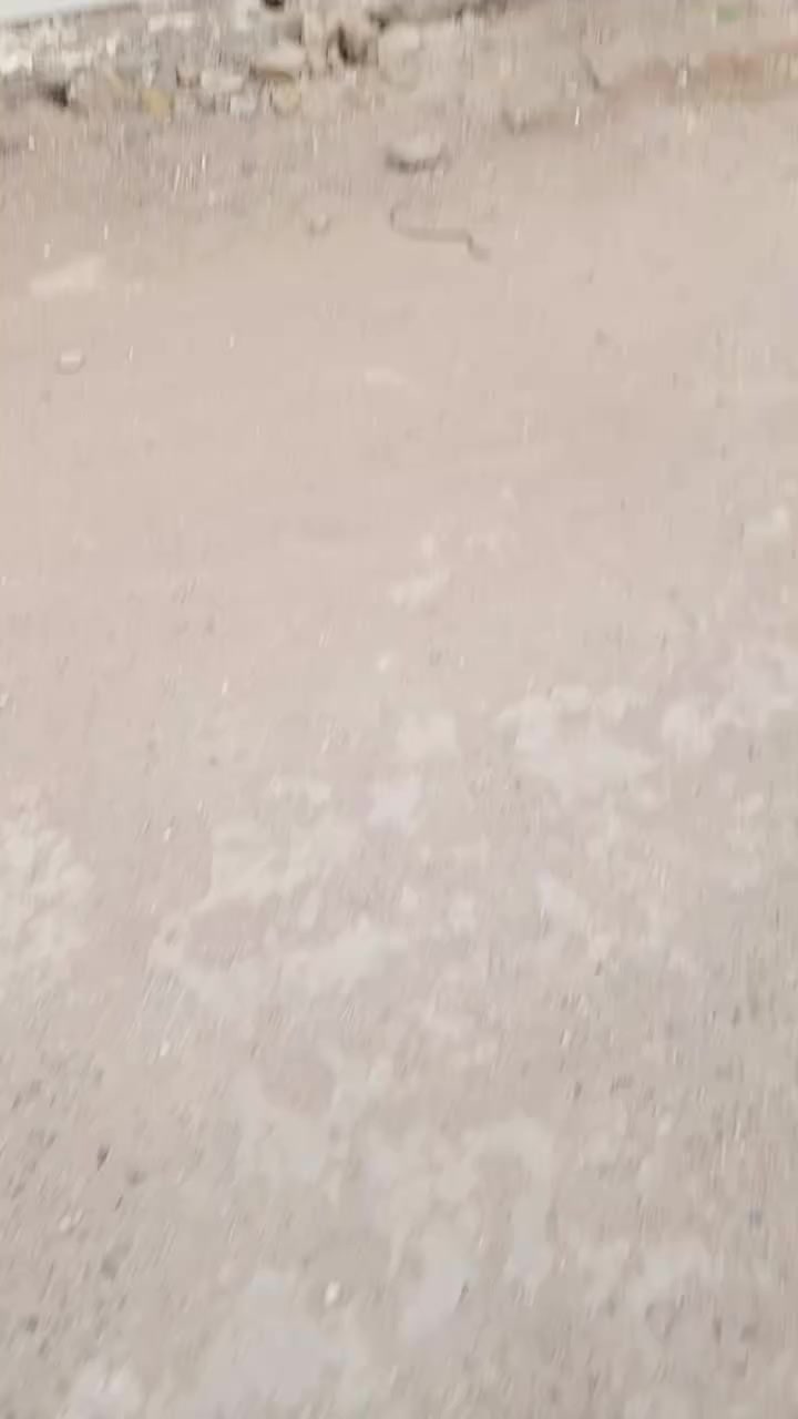 دار للايجار بغداد الدوره البوعيثه مجمع سلطان بضهر المدارس  الدار زيرو نضام ديلوكس 3نوم

 2صاله صحيات، 2 مطبخ ستقبال منور بلكونه كبيره كراج  2عرضة البيتونه جدن كبيره  اجاره 600بي مجال بسيط 

التواصل ***********وتساب
