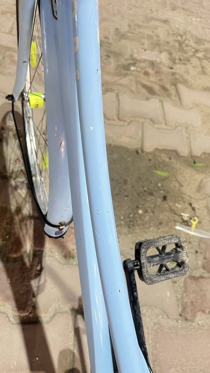 بايسكل سياحي حجم 26 لون مميز سمائي بي طكات بل جسد خفيف مديل 2019 الشركه مالته (LOOPS)
المكان البصره الجبيله
السعر 95 وبي مجال بسيط متواجد واتساب
اكثر
وبدون طياريه و فصفورات
الرقم ***********
