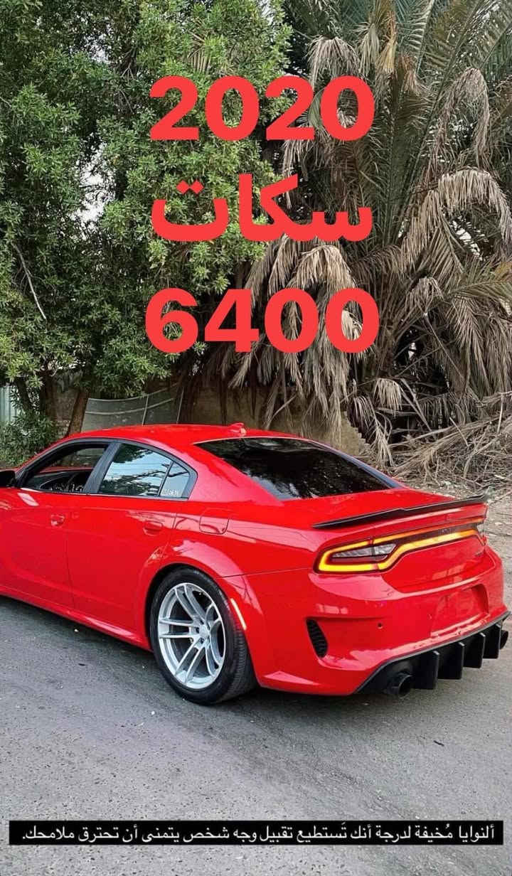 ياالله                للتواصل واتساب (***********)
بيع او مراوس العنوان كربلاء

حبايب هذني  ( 14 سياره ) الي تعجبه وحده منهن يراسلني خاص متواجد 

صول 2019 ابيض 

صول 2021 مشمي 

سورنتو 2019 

اوباما 2018 

اوباما 2019

اوباما 2017

اوباما 2018

جينسس 2019

جارجر 2016

جارجر 2020

جالنجر 2023

سنتافيا 2015

K5 2023

ماليبو 2020

للتواصل ع واتساب ***********
