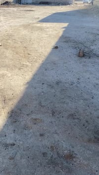 الفضلية • شارع البيطرة • ٢٠٠م