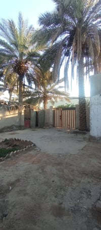 بيت زراعي • ١٥٠م • غرفة وصالة