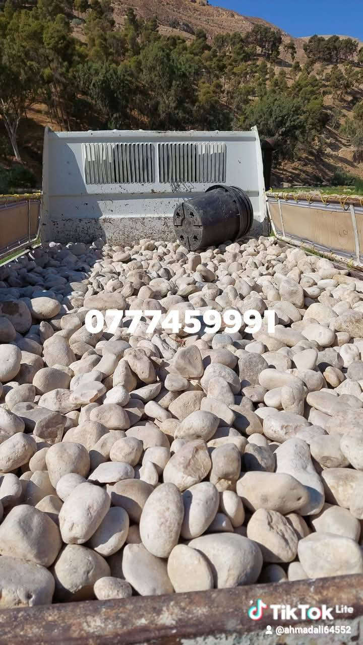 ٠٧٧٧٤٥٩٩٩١


**إذا كنت صاحب هذا الإعلان وتريد حذفه لأي سبب، رجاءا أرسل رسالة إلى الدعم الفني**