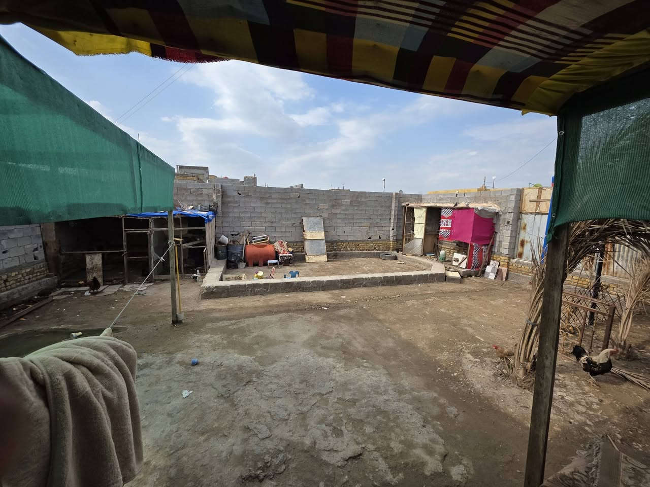 بيت للبيع طابو زراعي  مساحه ٣٣٠ متر مساحت البنبان ١٧٠ الحديقه ١٦٠ تبعد عن الشارع الرئيسي ٣ ابيوت  مقابيل ركيوه خلف حيدر اصليبي ابو السكله  ذاك الصوب  والستفسار على الرقم *********** المو شراي رجائا لا يتعبنه السعر ٦٣وبي مجال الجار وعلي ذهب.  سبب البيع ضروف  البيت عوزه سراميك وبيتونه فقط كهرباء ماء مجاري كلشي كامل  نضام كامرات البيت  عالي حيل عن الشارع     تجي وشوف بعينك البيت مرتب وجاهزز
تحياتي للجميع ولا تكسر بسعره الله يحفضكم
