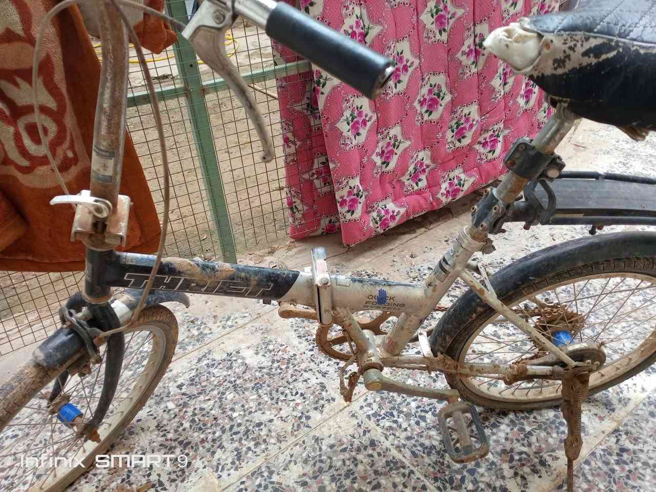 السلام عليكم بايسكل للبيع حجم 20 واللي عنده مراوس بايسكل 27 26 اراوس عادي    العنوان ناحيه الوحدة  الخاصه الاستفسار على الخاص⚡


**إذا كنت صاحب هذا الإعلان وتريد حذفه لأي سبب، رجاءا أرسل رسالة إلى الدعم الفني**