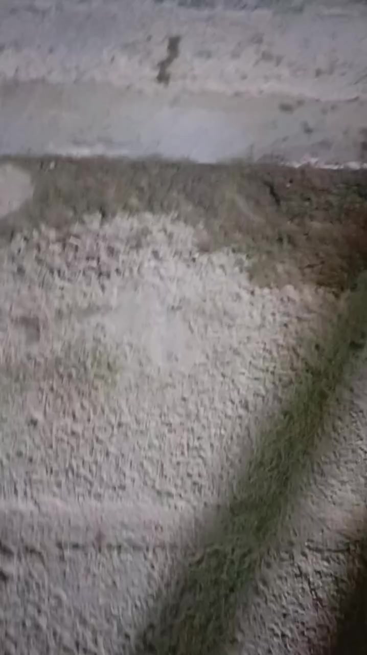 بيت طابو 200متر للبيع مكان مدينه الصدر حي طارق الوسط 3غرف جوا واثنين فوك صاله واستقبال للتواصل رقم الهاتف
***********
