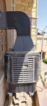 مبرده