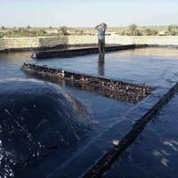 مستعدون لتگيير السطوح وتزفيت الأساس عن الرطوبه وتگيير احواض الماء عن ا...