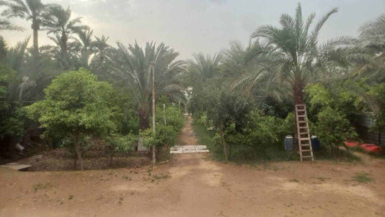 سلام عليكم مزرعه شاطيه للبيع المساحه دونم ونص الواجهه 24 ونزال 157 تحتوي على جميع الفواكه ولحمضيات ونخيل تحتوي على بيت مساحة البيت 270 بي 5 غرف نوب صحيات فوك وجوه سيراميك كاشي واصله مسبح قيد الانشاء، جميع الخدمات ماء كهرباء تبليط مجاري عقد عل 117 العقد بسم خالي موجود العنوان زعفرانيه نهاية الاربع شوارع مجاور مزرعة علي الدراجي ***********
