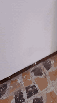 سلام عليكم صبغ طلس ب انواعه سنت معجون تراميك سنفيرا افديه )( ايبوكسي ارضي جداري عمل هندسي والاتزام اخذ متر وقطعي كربلاء وهاذ رقمي ***********
