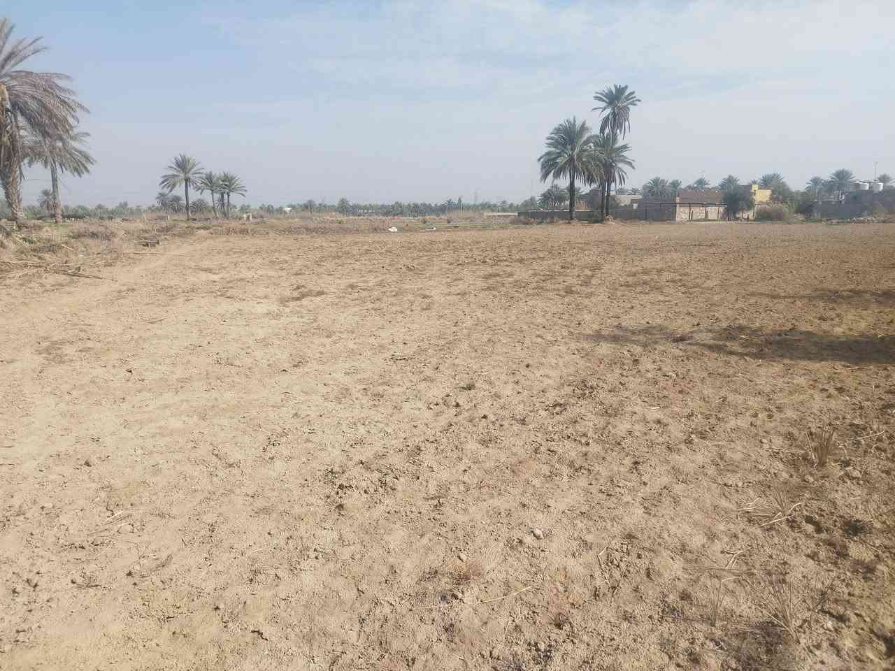 اعلان
يتوفر حاليا ٦دونم للبيع طابو زراعي سند 25 تحويل أسهم مع خمسة بيوت جاهزه في منطقة الزبيلية الواقعة على طريق كربلاء اطوريج تبعد عن الشارع العام حوالي كيلو متر مع توفر كافة الخدمات 
الاستفسار اكثر الاتصال على الرقم التالي ***********
