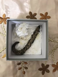 عرق السواحل نوعين كما موضح في الصورة مع أحجار للبيع التواصل واتساب 077...