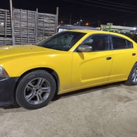 جارجر • ٢٠١١ • رقم انكليزي