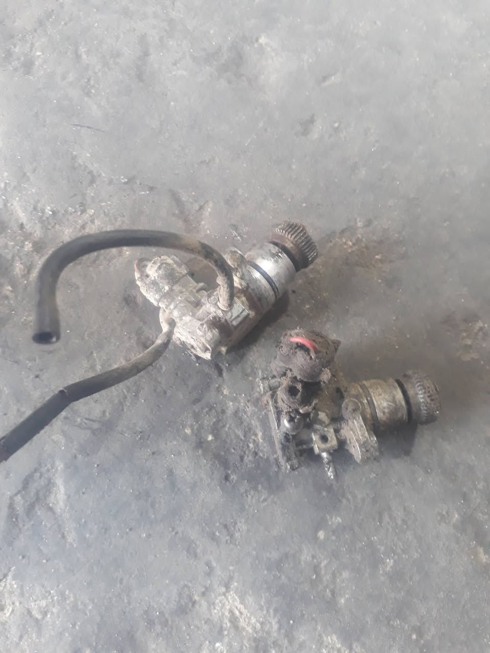 غراض منغولي للبيع كلة بلادي


**إذا كنت صاحب هذا الإعلان وتريد حذفه لأي سبب، رجاءا أرسل رسالة إلى الدعم الفني**