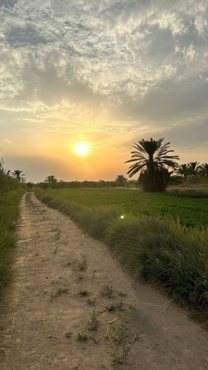 يالله
اللهم صل على محمد وال محمد

متوفر ارض مساحة ( 6 دونم و 800 متر) طابو زراعي سند 25 تحويل مباشر بأسم المشتري .. واجهة الارض 71 متر على شارع وبزل رئيسي ورسمي وفي نهاية الارض نهر روائي رسمي تسقي سيح وصالحة للزراعة وللسكن و علمآ الارض تحتوي على عدد من النخيل الحمال تتراوح مابين 80 الى 100 نخلة

العنوان / كربلاء - شارع طوريج كربلاء سايد الدخول مقابل المعهد الفني التقني قرب المدارس وتنزل مسافة عن شارع العام 
كيلو و 900 متر شارع تبليط وترابي ... السعر الكلي للارض ( 350 ) مليون ((( *********** )))
