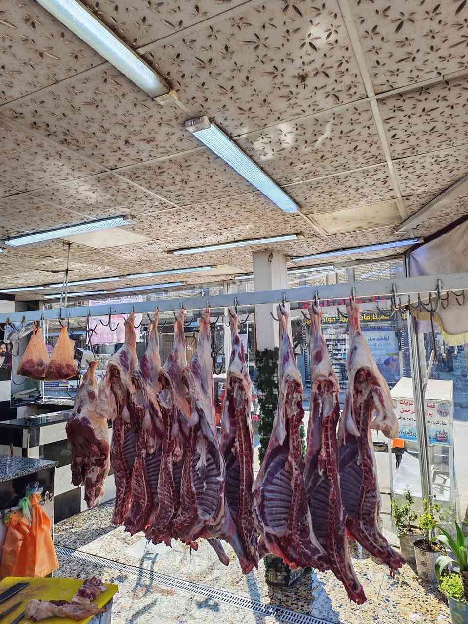رمضان مبارك كيلو الحم غنم عراقي سعر لكيلو18الف
كيلو الحم عجل 16الف عراقي
العبيدي الرئاسه شارع ٢٠ مقابل صيدليه الرئاسه
*********** معلاك ١٥ الف باجه ١٥ الف اهلا وسهلا بكم
