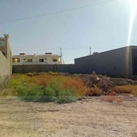 الرمادي خلف مجمع سلام • ٣٠٠م • طابو زراعي