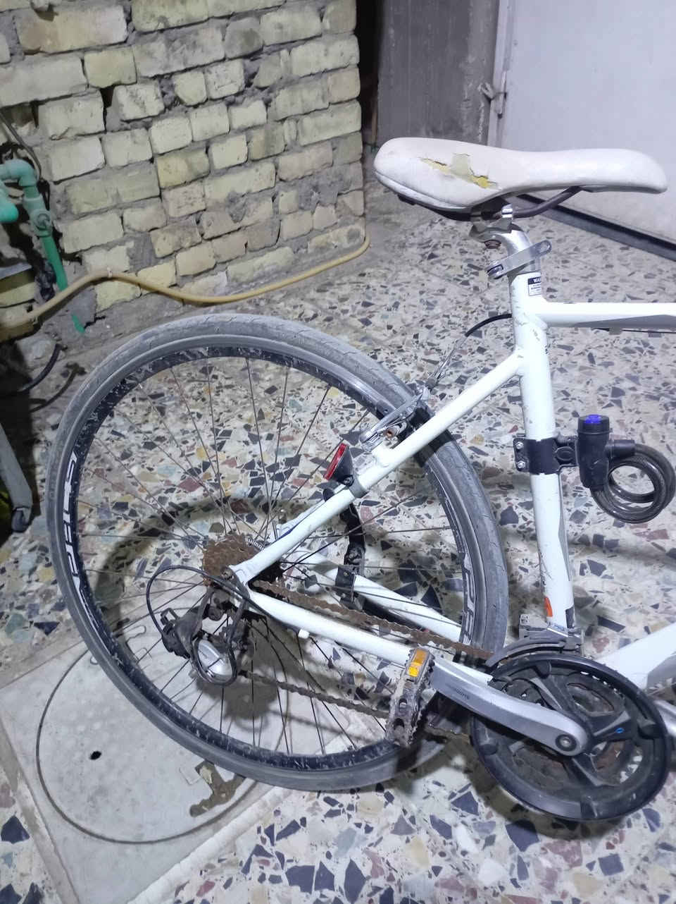 بايسكل بالة
حجم 27 كلشي مابي بريكات شغاله عكرب يبدل
وتايرات نضيفات البايسكل اي عطل ما بي
مكاني بغداد الرئاسه مال عبيدي
الرقم واتساب فقط : ***********
