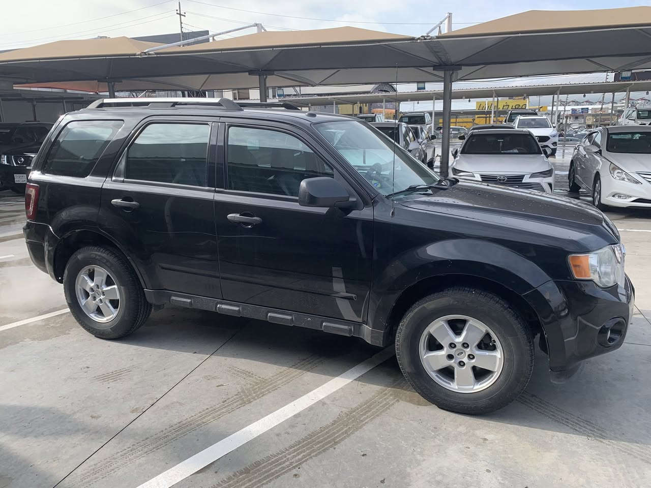 Ford escape 2011 xlt
٤بستۆن : ٢.٥ دەبل ئەکسل
بۆیاخ : ٢ پارچە بۆیاخ 
بۆنیت و چەمەلغی سەکن 
مەکینە : گیرو مەکینەی بەشەرت 
تایە : ١ مانگە تاقمی لۆکی بۆ بەستراوە
سەنەوی تان ٢٠٢٨ تازەیە 
موشتەریت نامە بنیرە 

نرخی ١١٠گەلا معامەلە


**إذا كنت صاحب هذا الإعلان وتريد حذفه لأي سبب، رجاءا أرسل رسالة إلى الدعم الفني**