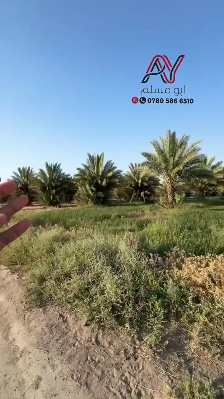 التواصل والاستفسار 
اتصال و واتساب 
***********
 #ملك_صرف_دوانم_اراضي_زراعيه
 #سند_25 #داونم_للبيع
