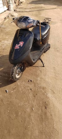 دراجة منغولي • فحل • سلف وكهربايات